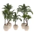 indoor-plant-026 - Thumbnail 1