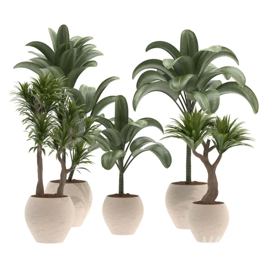 indoor-plant-026 - Image 1