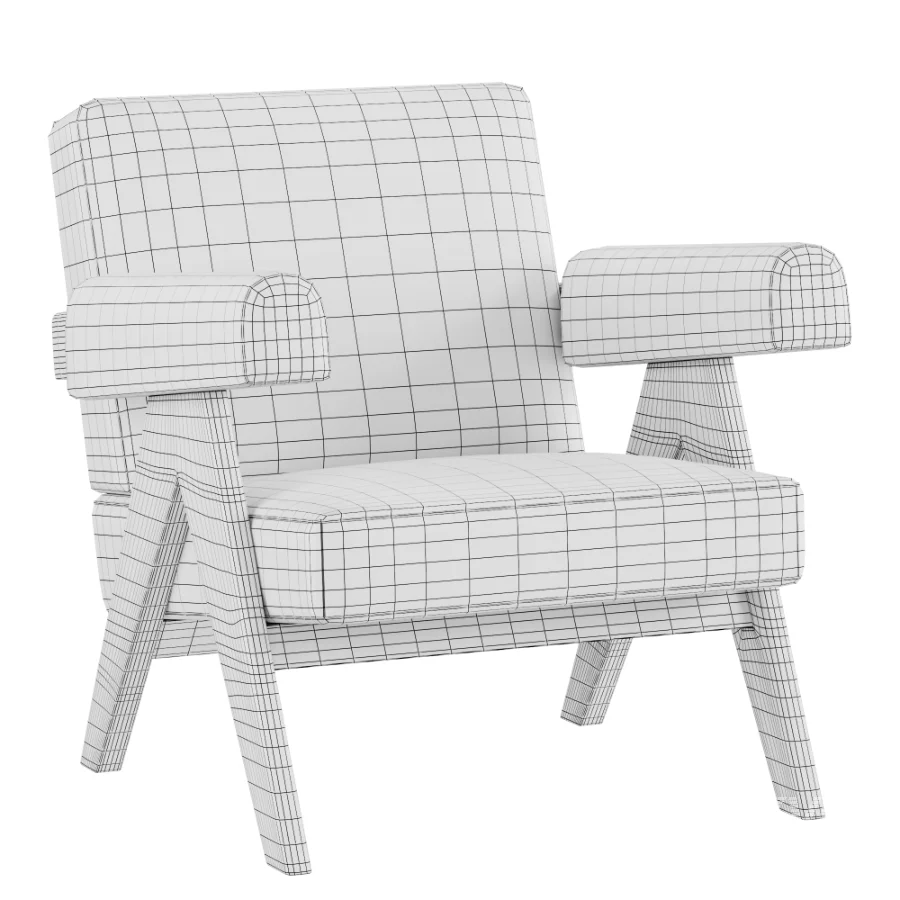 Capitol Complex Armchair by Pierre Jeanneret - Image 5