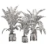 indoor-plant-017 - Thumbnail 3
