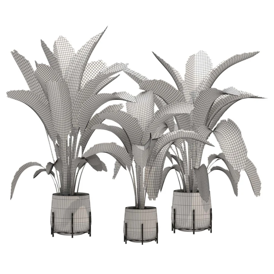 indoor-plant-017 - Image 3