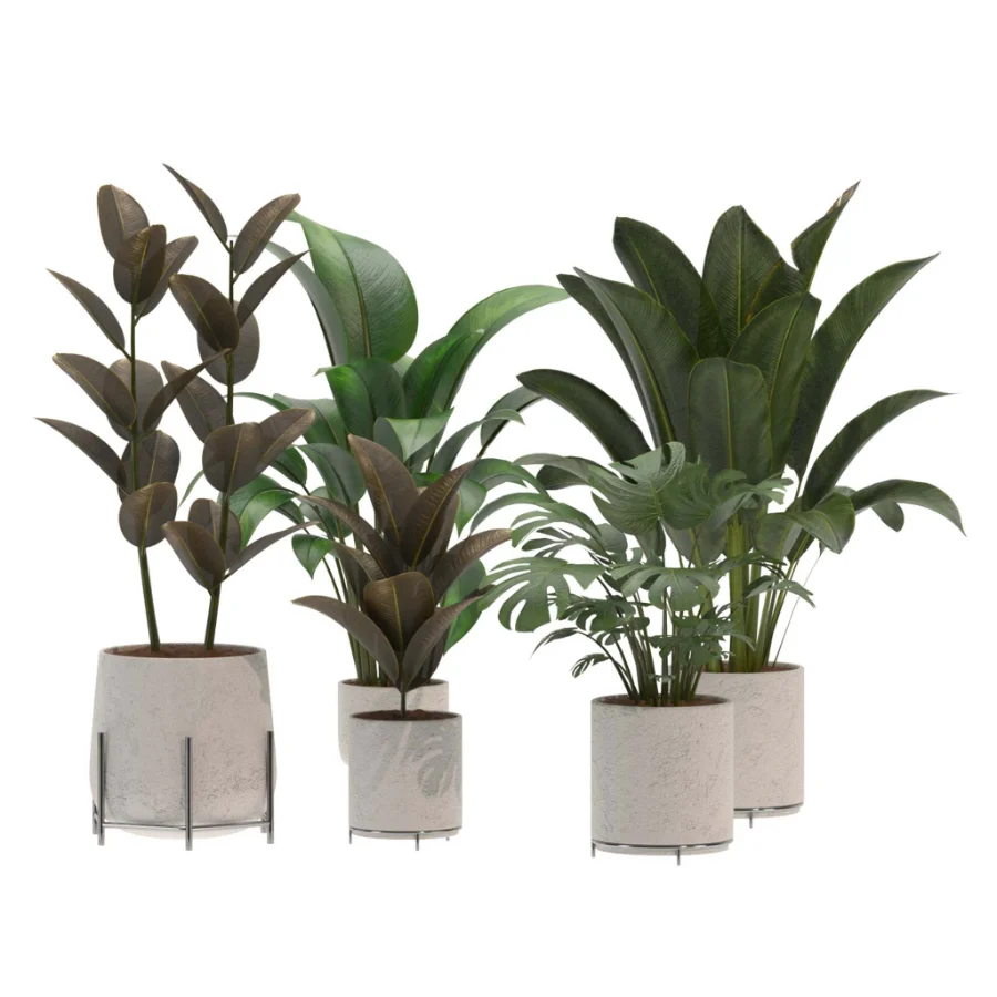 indoor-plant-015 - Image 3