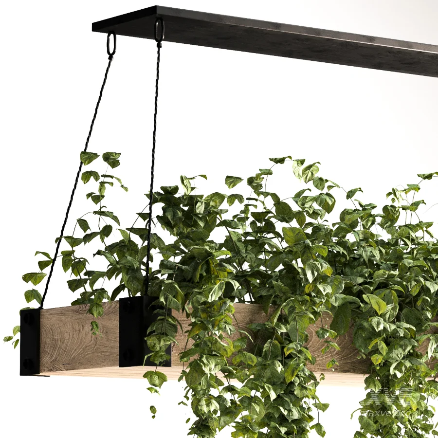 Hanging Plant 05 - Image 3