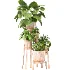 Planting Stand 01 - Thumbnail 3