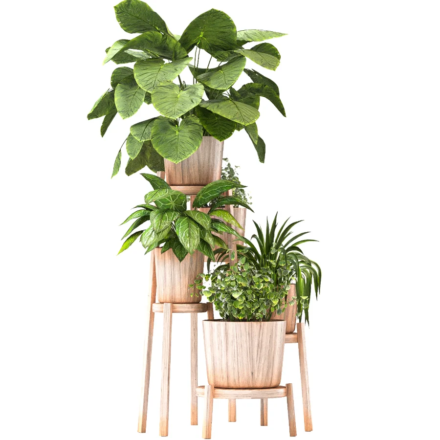 Planting Stand 01 - Image 3