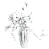 Bouquet - Thumbnail 3
