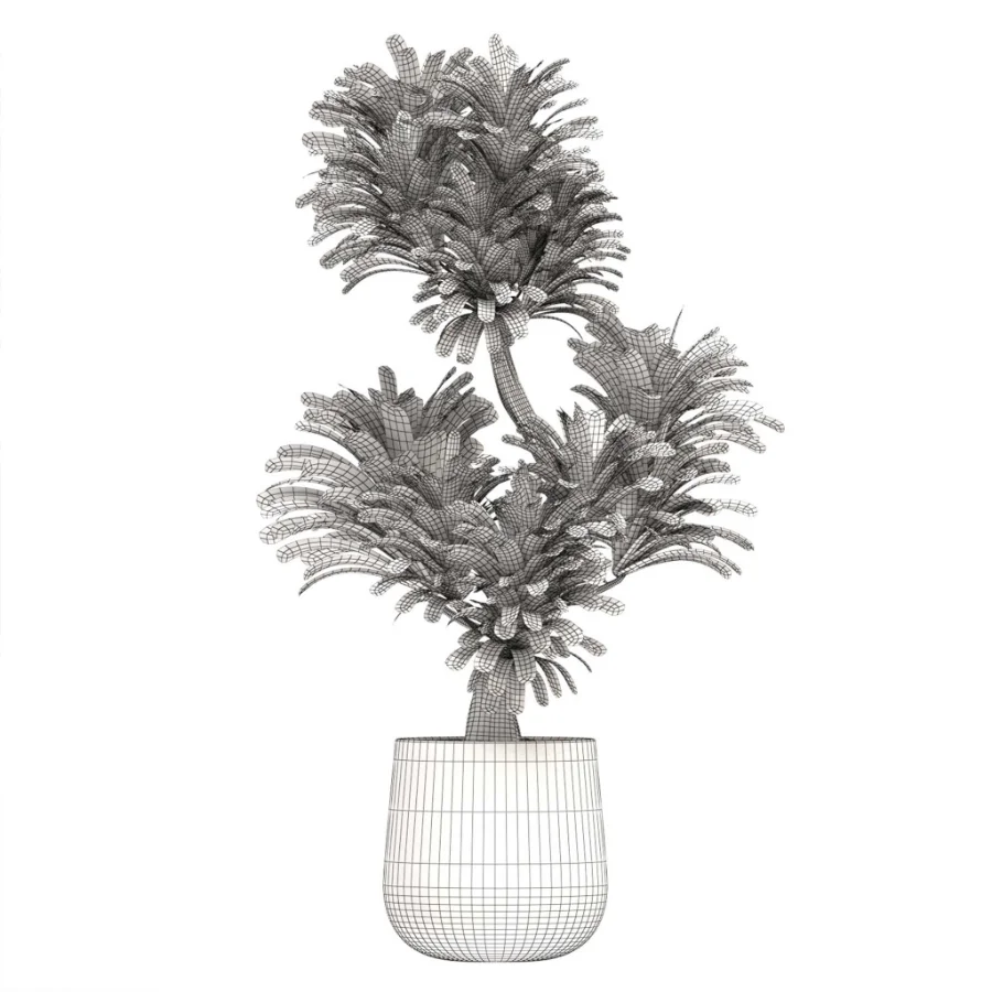 indoor-plant-022 - Image 3