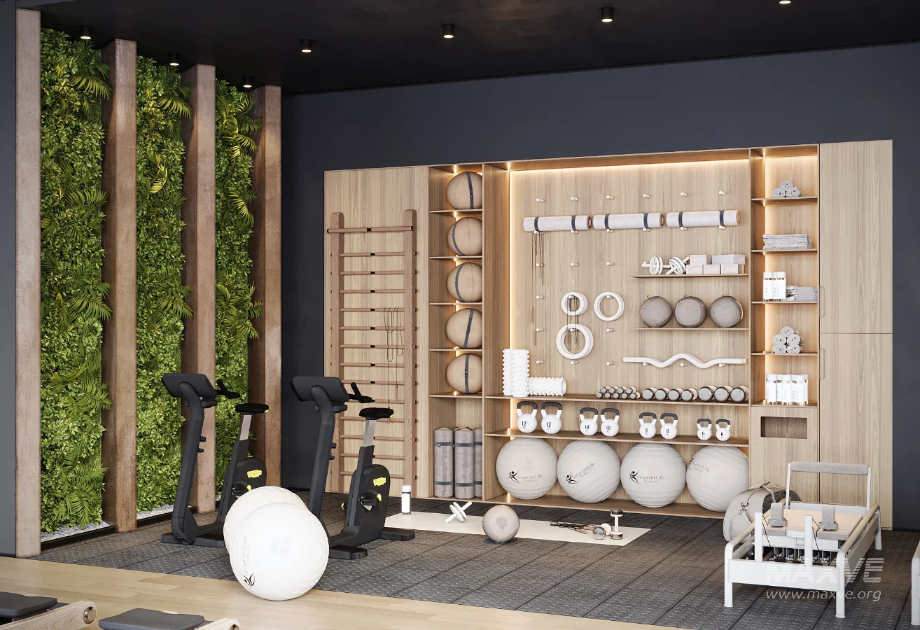 Modern Luxury Home Gym Interior 01 - Image 2