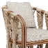 Shanaya Rattan Arm Chair - Thumbnail 4