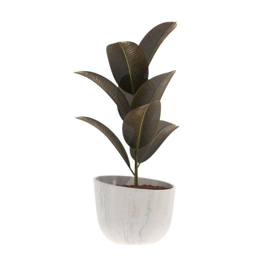 indoor-plant-010 - Image 1