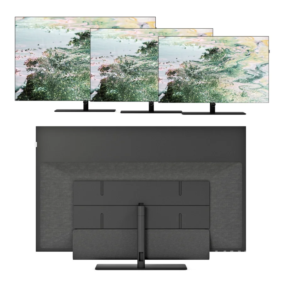 Loewe Bild I - Image 2