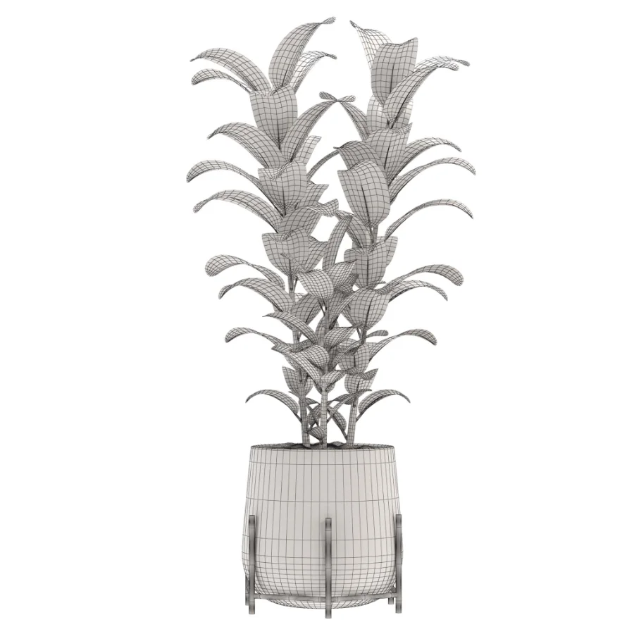 indoor-plant-009 - Image 3