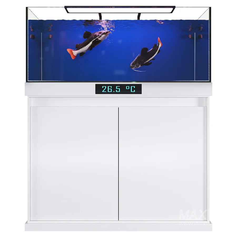 Redtail Fish Aquarium Tank - Image 1