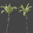 AV Plant Areca Catechu 6 Palm Trees 02 - Thumbnail 8