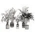 indoor-plant-024 - Thumbnail 3