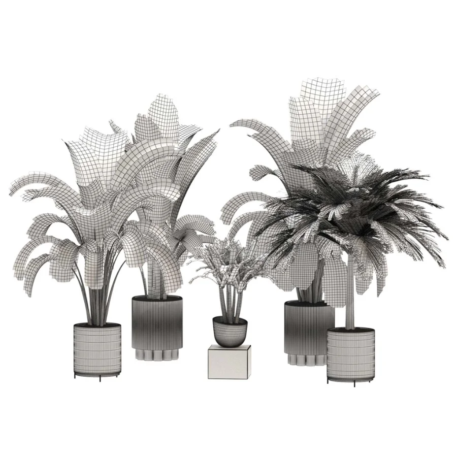indoor-plant-024 - Image 3
