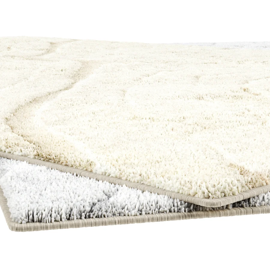 Carpet - Image 1