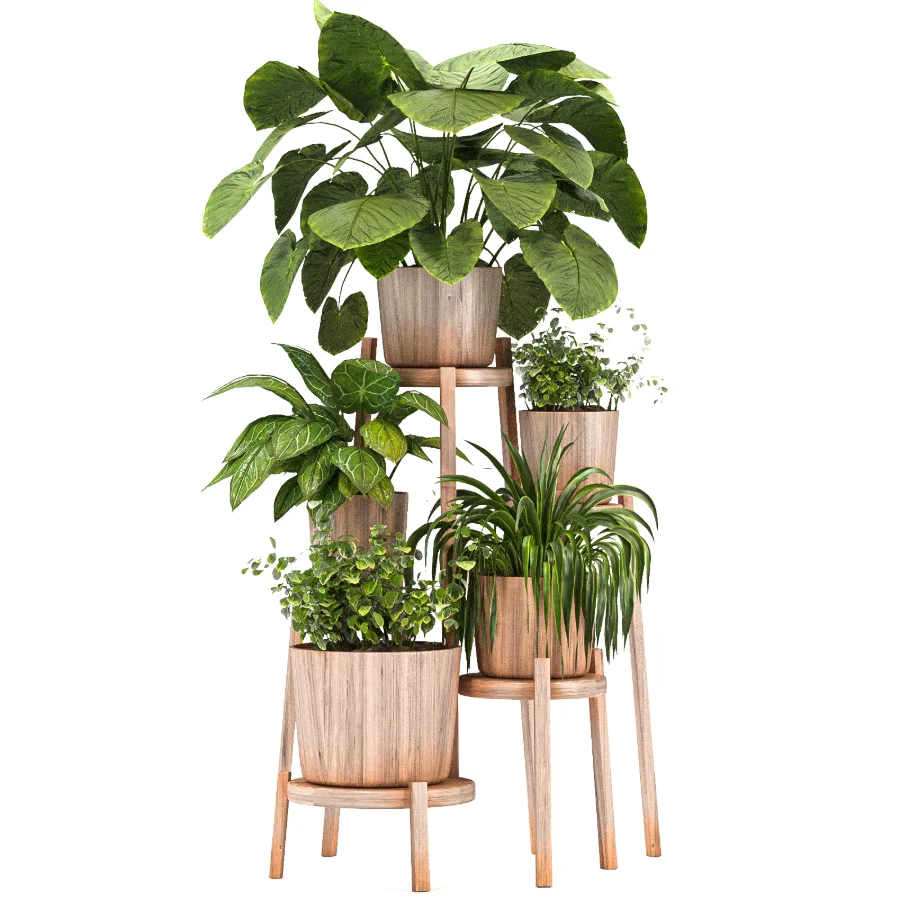 Planting Stand 01 - Image 4