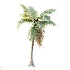 AV Plant Cocos Nucifera Palm Tree 01 - Thumbnail 4