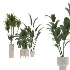 indoor-plant-020 - Thumbnail 1