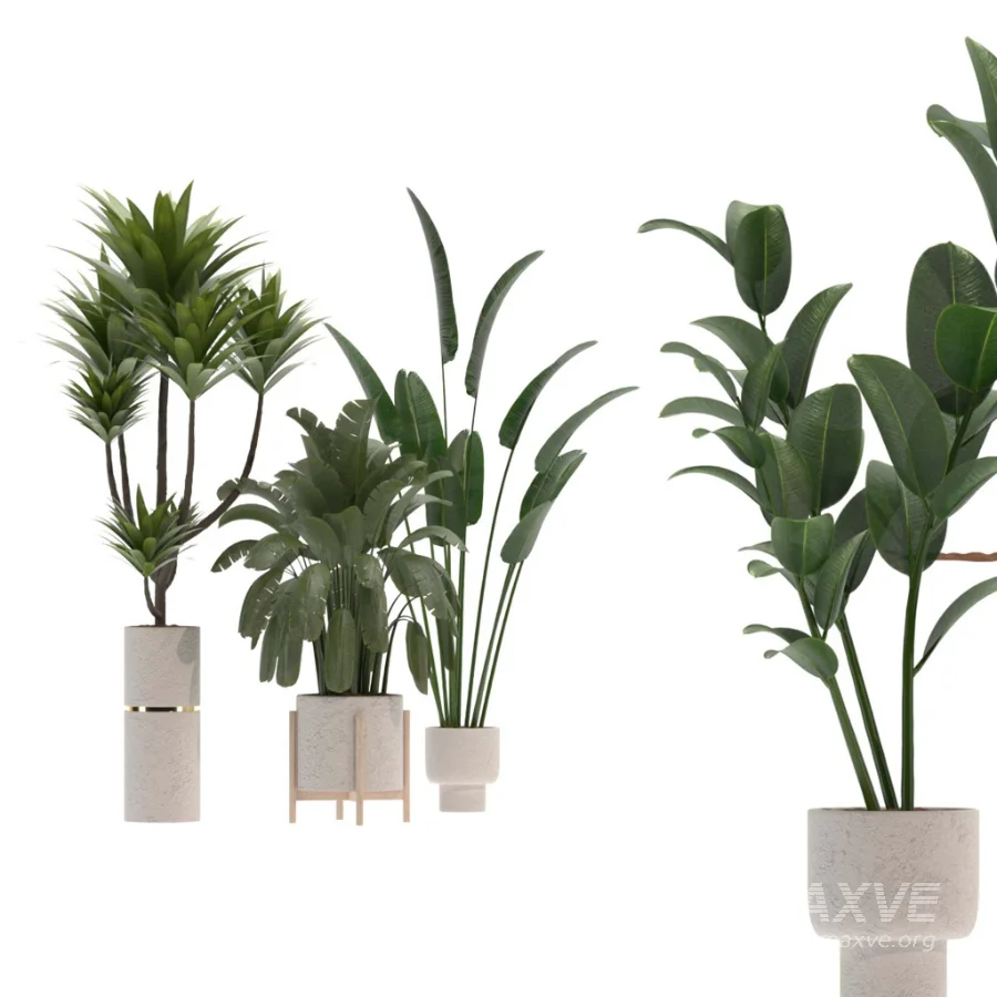 indoor-plant-020 - Image 1