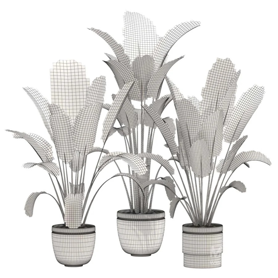 indoor-plant-028 - Image 3