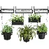 Hanging Plant 04 - Thumbnail 4