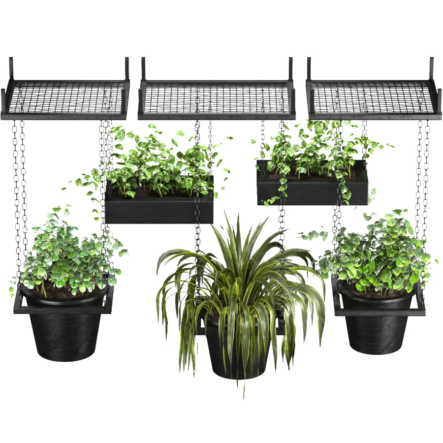 Hanging Plant 04 - Image 4