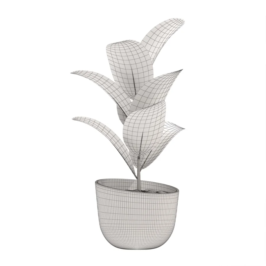 indoor-plant-010 - Image 2