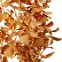 AV Plant Ficus Carica Feige Fig Fruit Tree 01 - Thumbnail 8