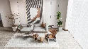 Living room 4 - Thumbnail 6