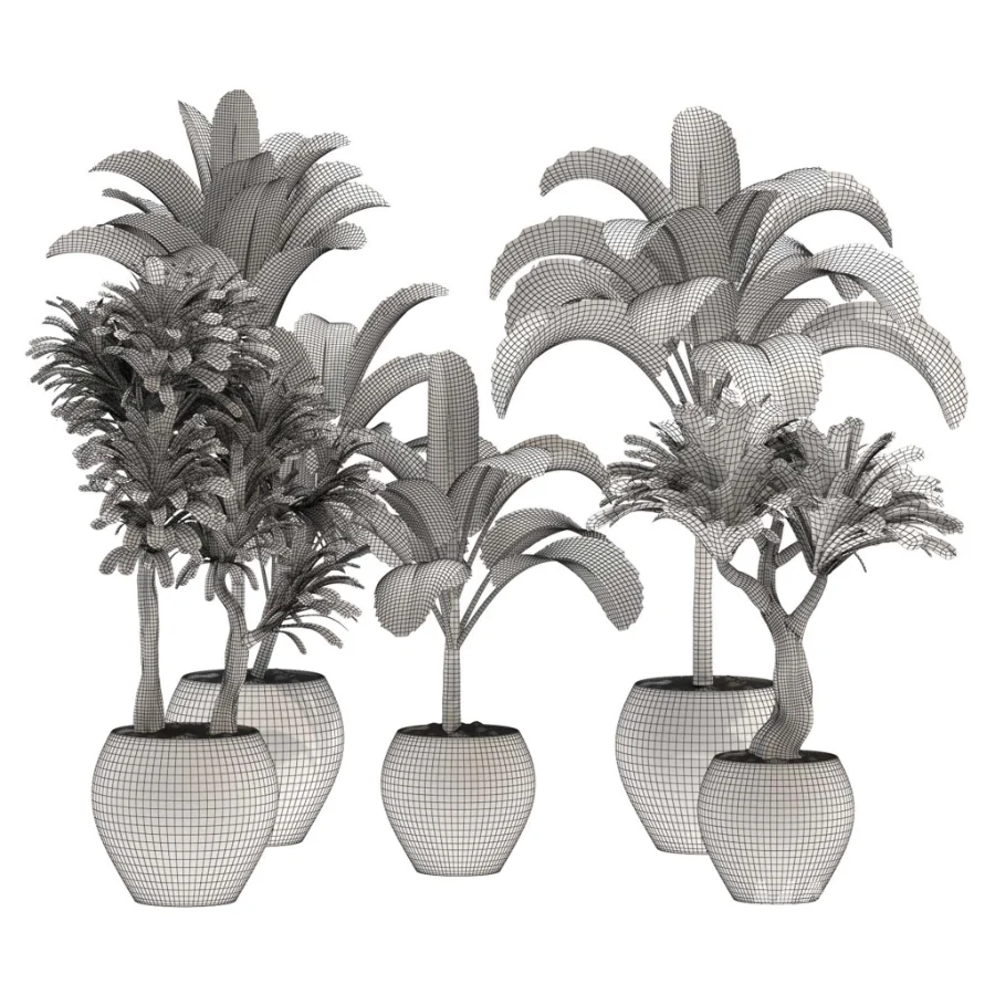 indoor-plant-026 - Image 4