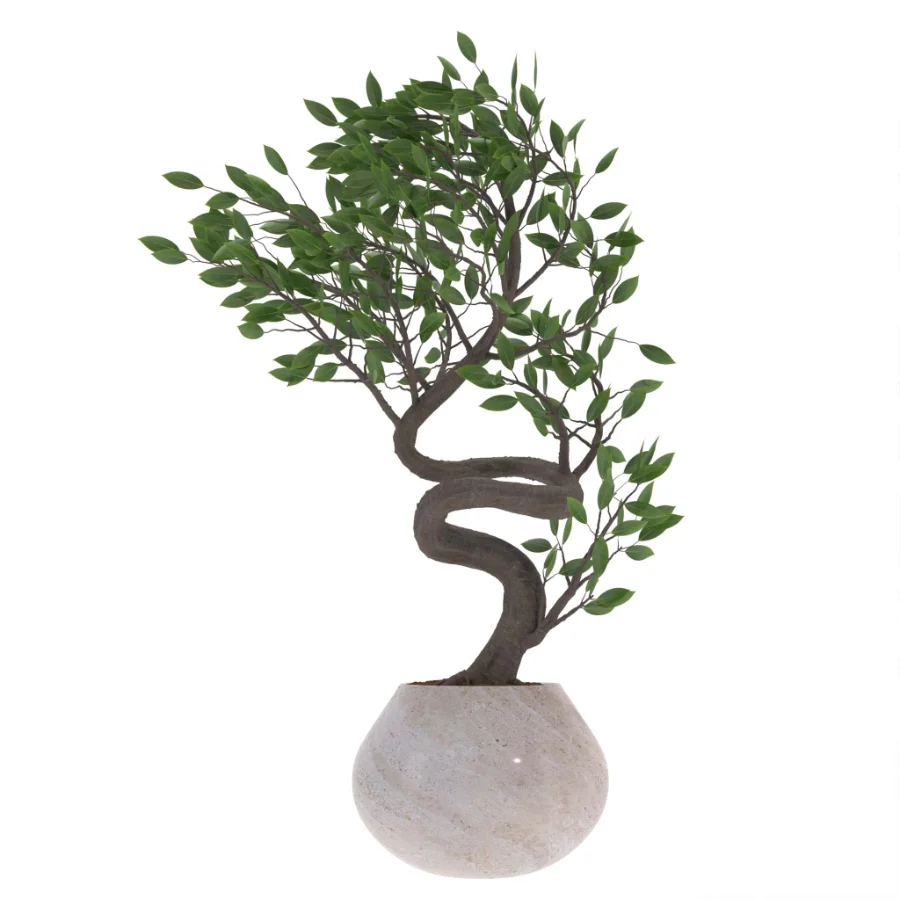 indoor-plant-012 - Image 2