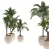 indoor-plant-026 - Thumbnail 3
