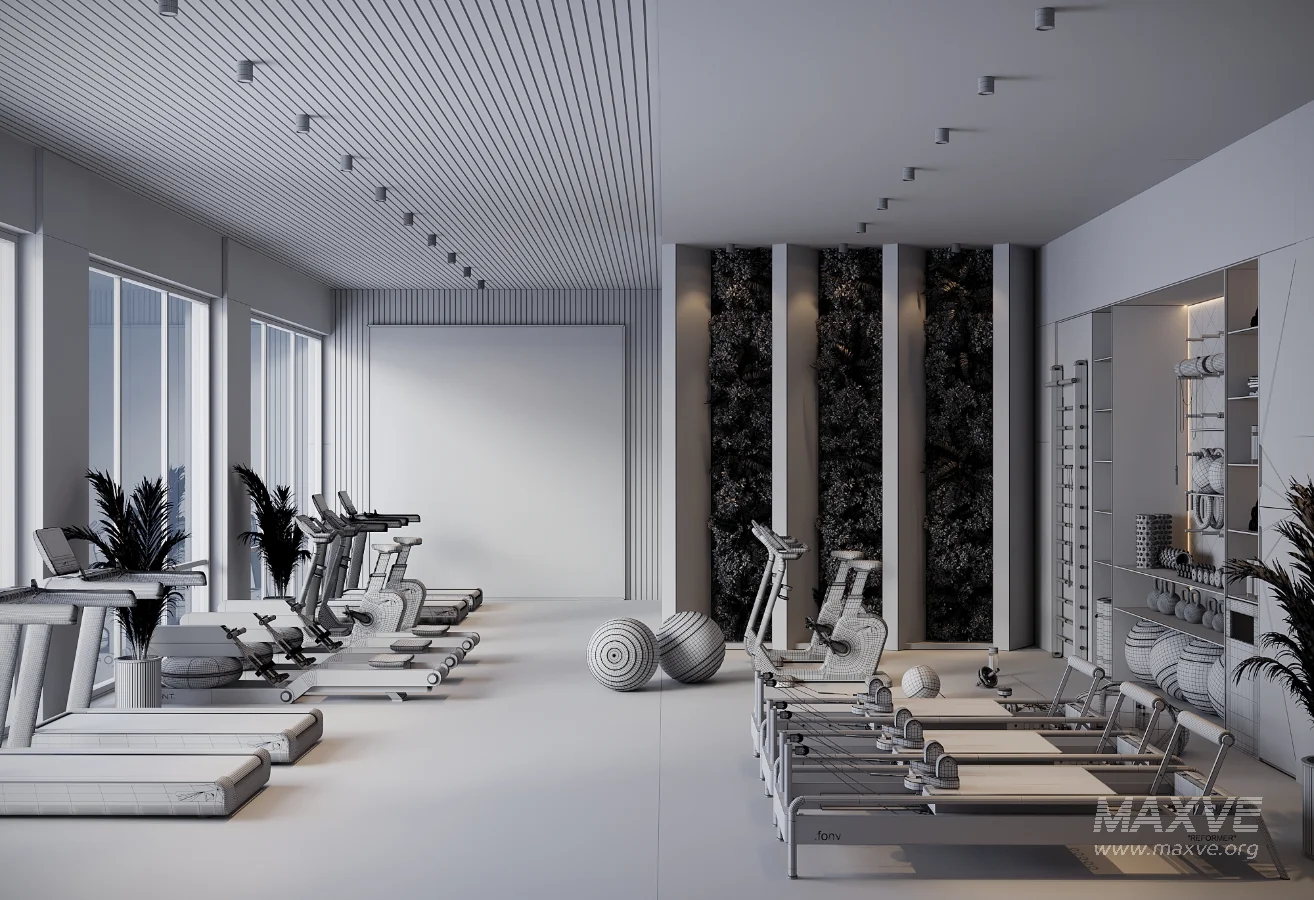 Modern Luxury Home Gym Interior 01 - Image 6