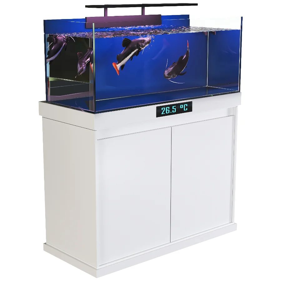 Redtail Fish Aquarium Tank - Image 2