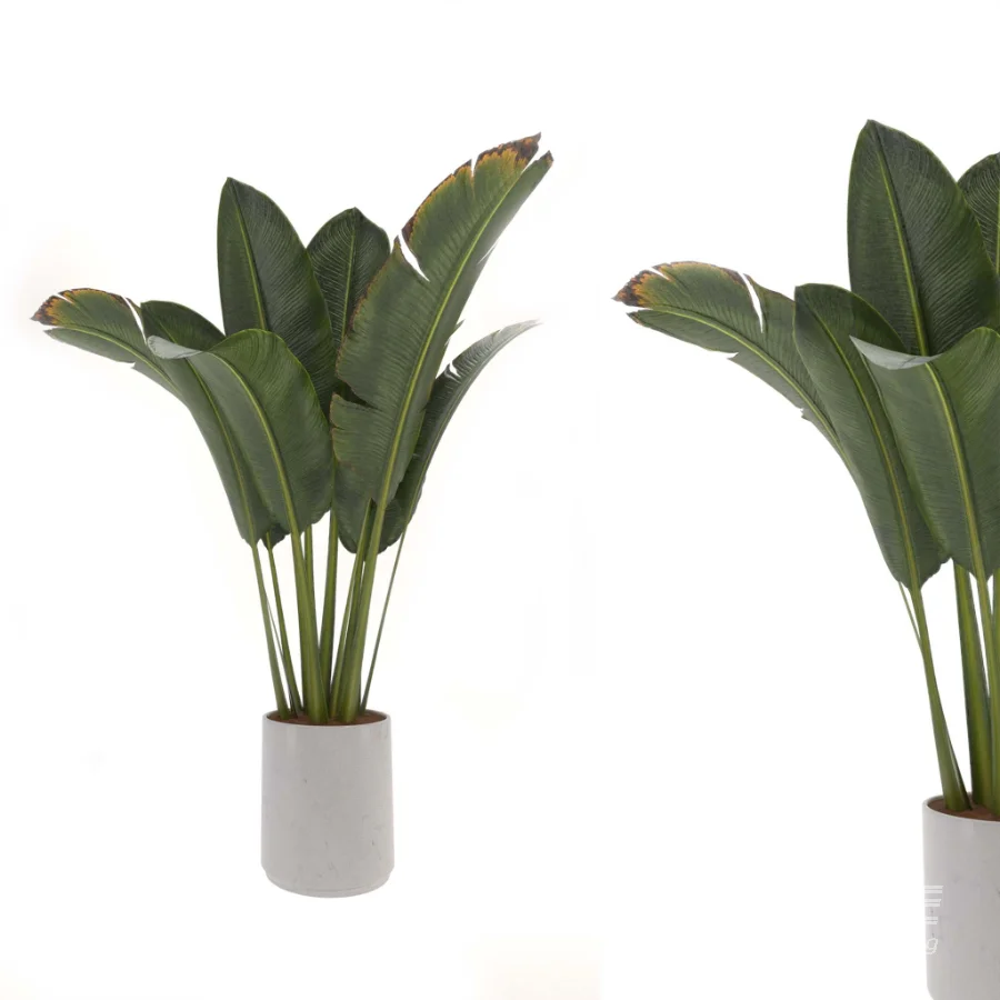 indoor-plant-007 - Image 2