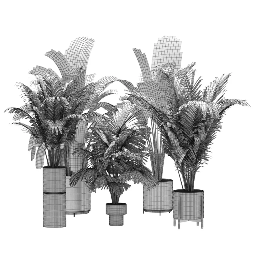 indoor-plant-023 - Image 3