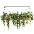 Hanging Plant 05 - Thumbnail 4