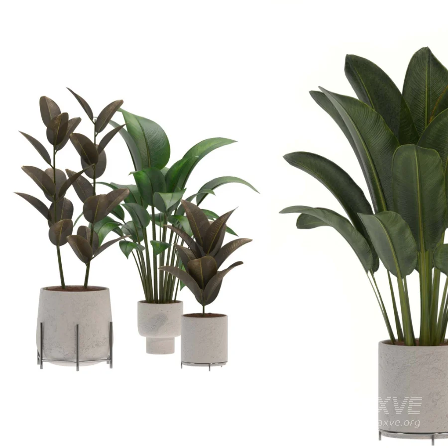 indoor-plant-015 - Image 1