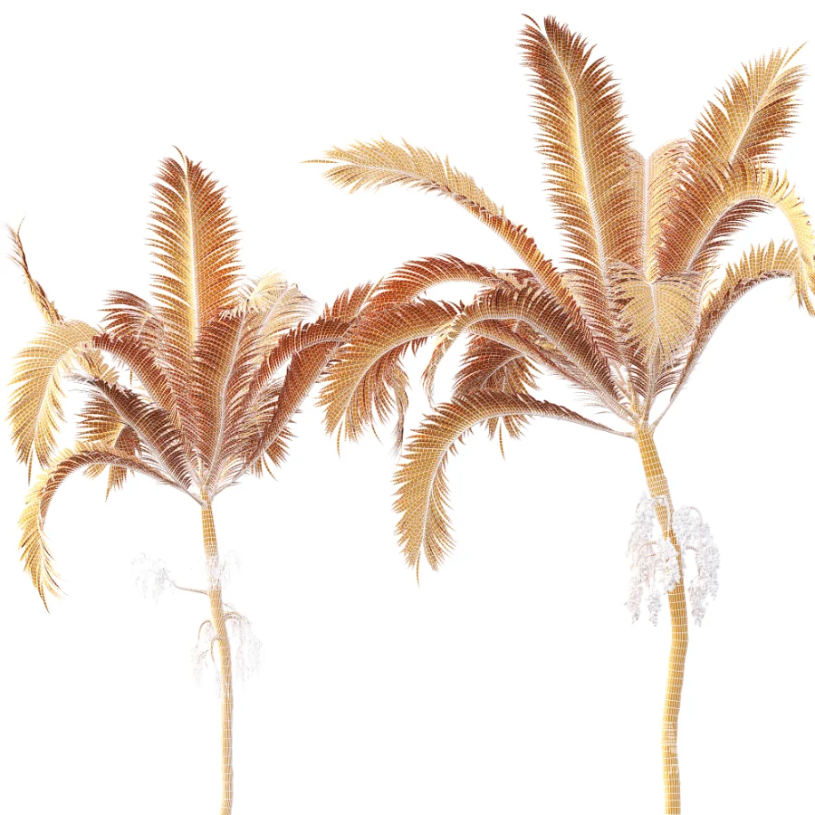 AV Plant Areca Catechu 6 Palm Trees 02 - Image 11