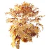 AV Plant Acoelorrhaphe Wrightii Palm Tree 01 - Thumbnail 10