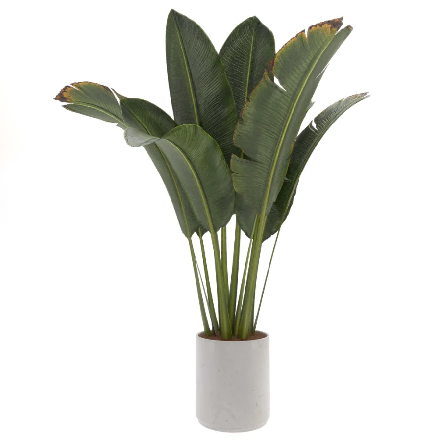 indoor-plant-007 - Image 1