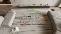 LIVING ROOM 80 - Thumbnail 19