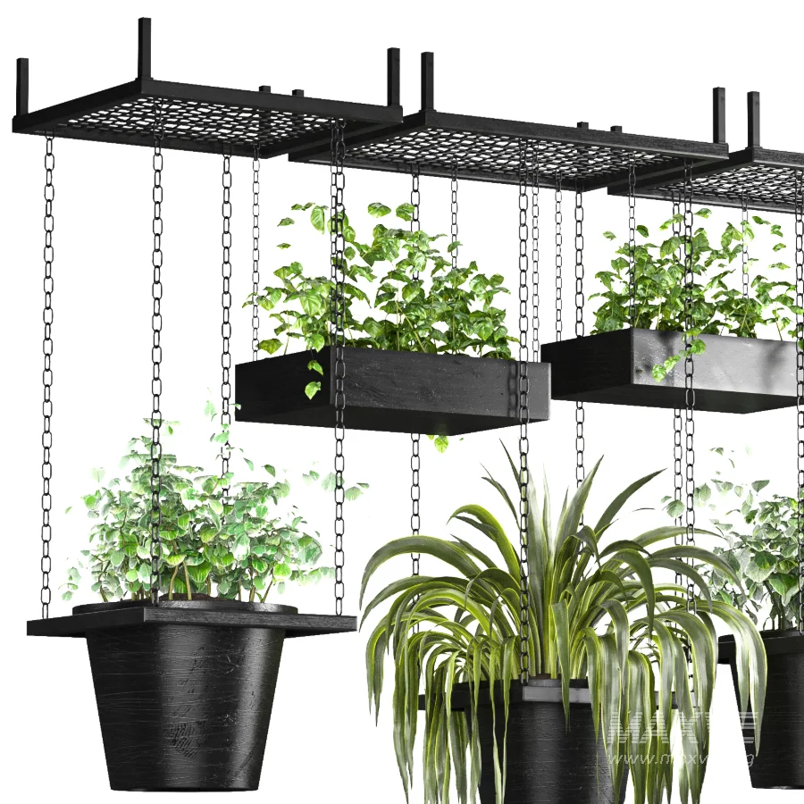 Hanging Plant 04 - Image 3