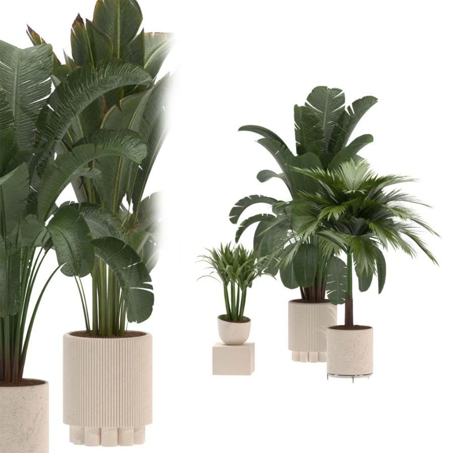 indoor-plant-024 - Image 1