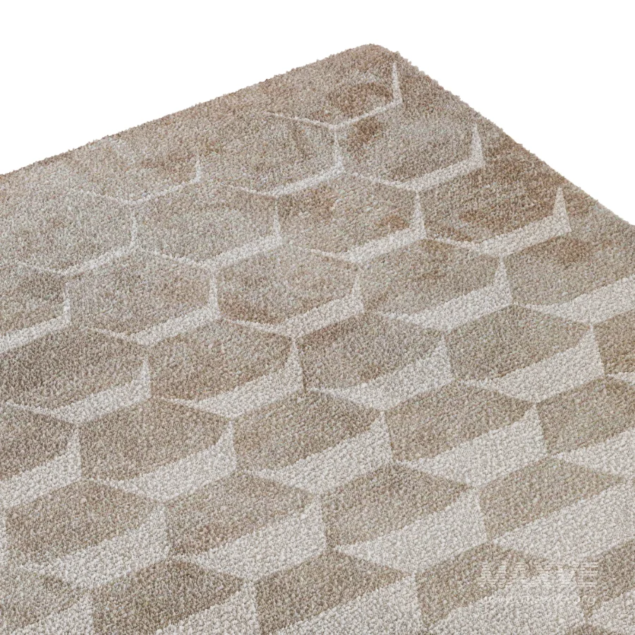 Carpet 17 - Image 1