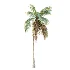 AV Plant Cocos Nucifera Palm Tree 01 - Thumbnail 3