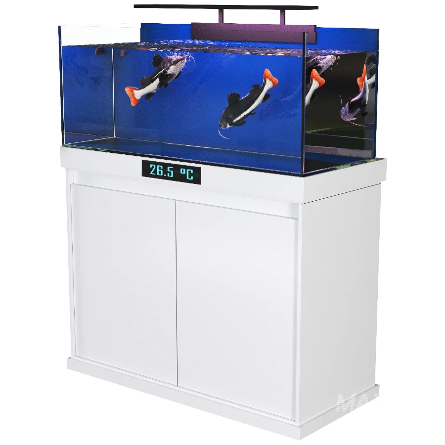 Redtail Fish Aquarium Tank - Image 4