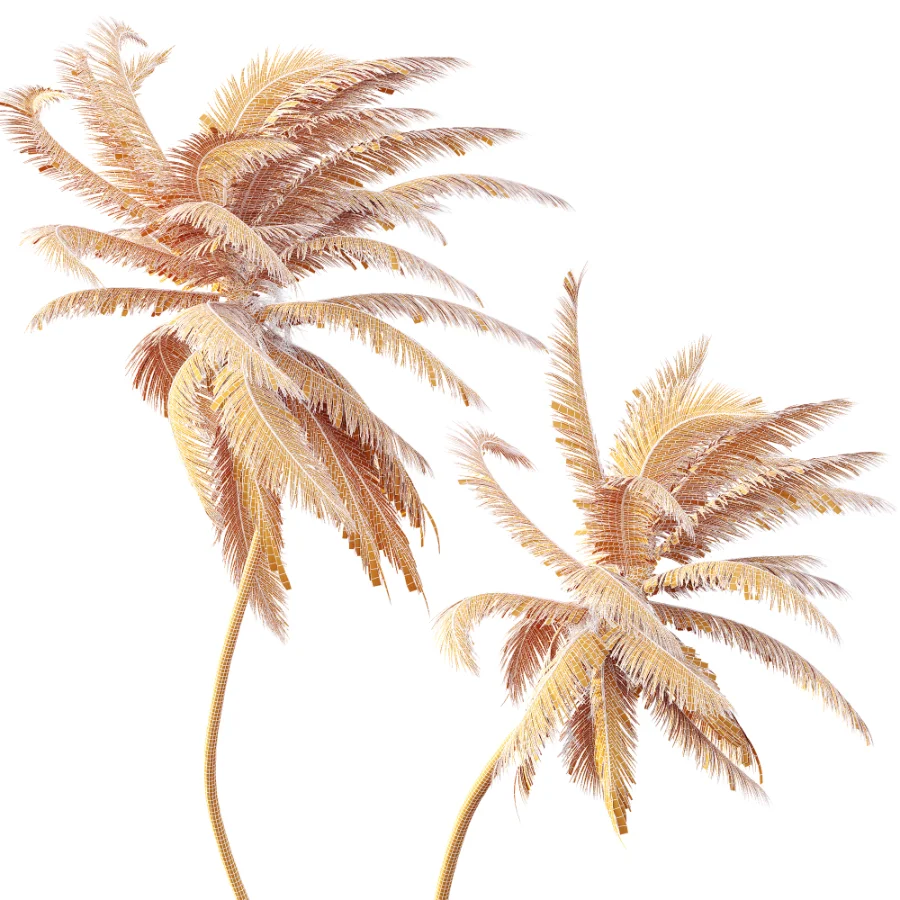 AV Plant Cocos Nucifera Palm Tree 01 - Image 8